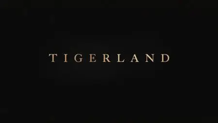 Tigerland (2019)