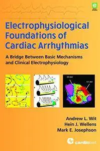 Electrophysiological Foundations of Cardiac Arrhythmias: A Bridge Between Basic Mechanisms and Clinical Electrophysiology