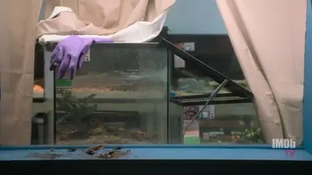 Bug Out S01E02