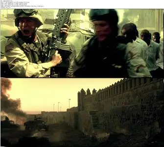 Black Hawk Down (2001) [Dual Audio]