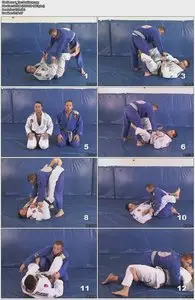 William Bittencourt - Mastering the De La Riva Guard