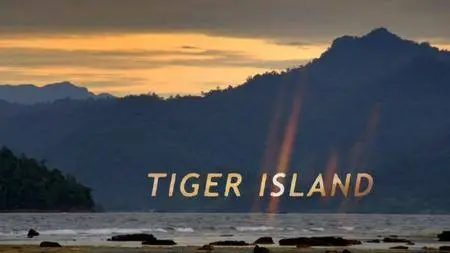 BBC Natural World - Tiger Island (2012)