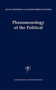 Phenomenology of the Political