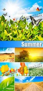 Stock Photo - Summer