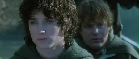 The Lord of The Rings: The Fellowship of The Ring SEE (2001)