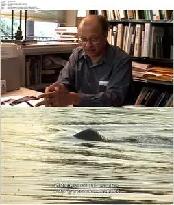 Flow: For Love of Water (2008)