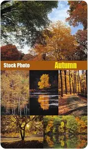 Stock Photo: Autumn
