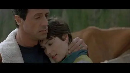 Cliffhanger (1993) [Full BluRay]