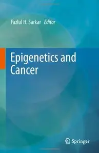 Epigenetics and Cancer