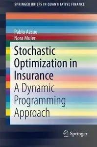 Stochastic Optimization in Insurance: A Dynamic Programming Approach