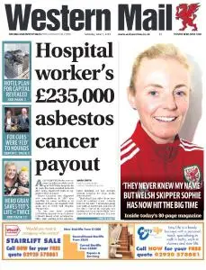 Western Mail - June 1, 2019