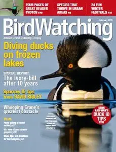 BirdWatching - January - February 2015 (True PDF)