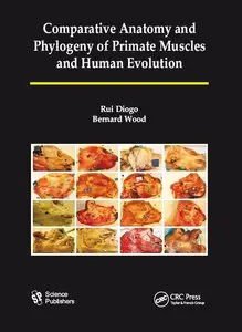 Comparative Anatomy and Phylogeny of Primate Muscles and Human Evolution (repost)