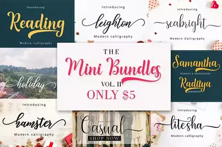 The Mini Font Bundle V2 - 5 Premium Fonts