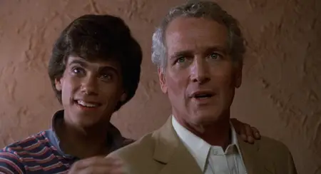 Harry & Son (1984)
