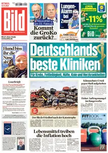 Bild - 13 November 2024