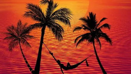 4 Hour Financial Freedom Blueprint