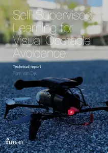 Self-Supervised Learning for Visual Obstacle Avoidance: Technical report