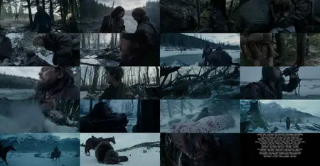 The Revenant (2015)