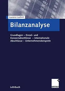 Bilanzanalyse: Grundlagen — Einzel- und Konzernabschlüsse — Internationale Abschlüsse — Unternehmensbeispiele