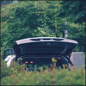 Eiko Ishibashi & Jim O'Rourke - Pareidolia (2025) [Official Digital Download 24/48]