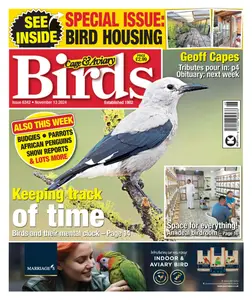 Cage & Aviary Birds - 13 November 2024