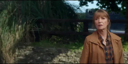 Harry Wild S04E03