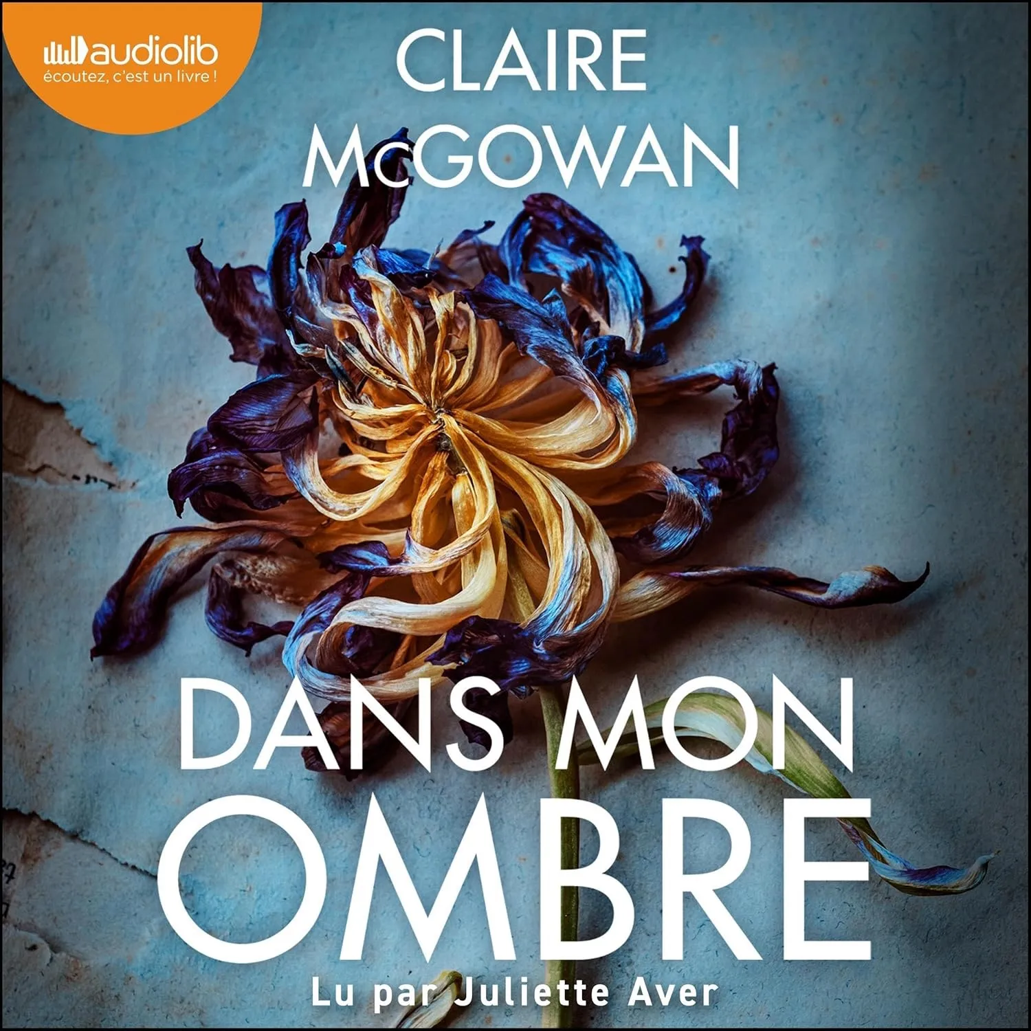 Claire McGowan, "Dans mon ombre"