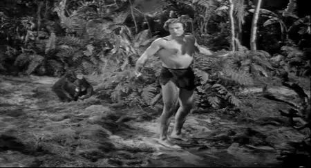 Tarzan’s Peril (1951)