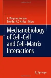 Mechanobiology of Cell-Cell and Cell-Matrix Interactions