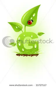 Vector Natural alphabet letters in portfolio