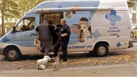 ITV - Inside Animal A&E Series 1 (2020)