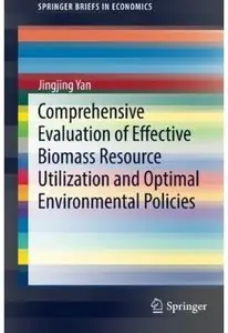 Comprehensive Evaluation of Effective Biomass Resource Utilization and Optimal Environmental Policies