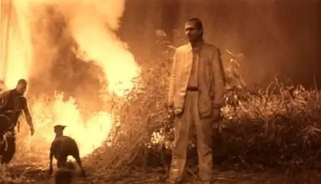 Lars von Trier-Forbrydelsens element (1984)