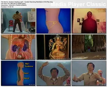 Awaken Healing Light - Guided Standing Meditation
