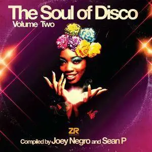 VA - The Soul Of Disco Vol.2 (By Joey Negro And Sean P) (2017)