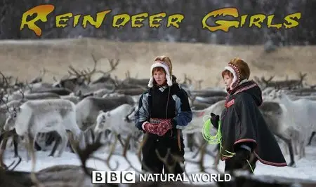 BBC Natural World - Reindeer Girls (9 April 2008)