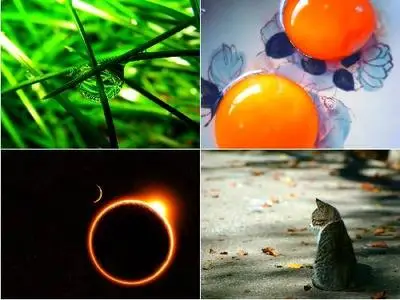WallpapersMania Выпуск № 81