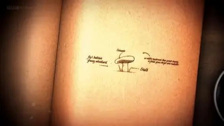 BBC - The Magic of Mushrooms (2014)