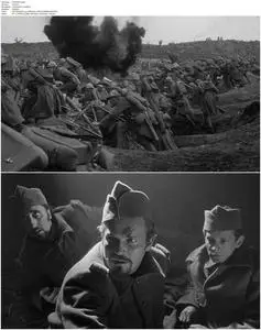 Paths of Glory (1957) [The Criterion Collection]