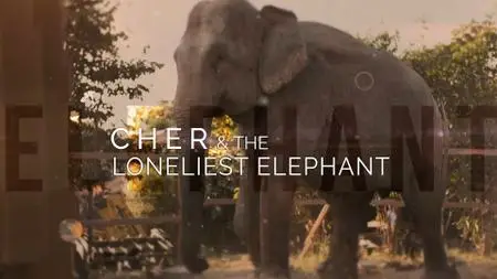 Cher And The Loneliest Elephant (2021)