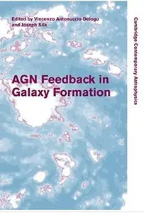 AGN Feedback in Galaxy Formation