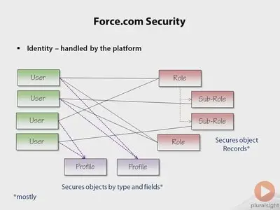 Force.com for .NET Developers (2013)