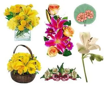 Lilies - PNG Clipart for Photoshop