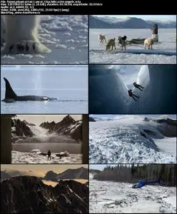 David Attenborough Frozen Planet S01E07 UNCUT