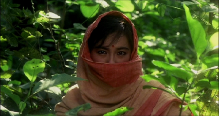 The Affair from Nepal (1985)