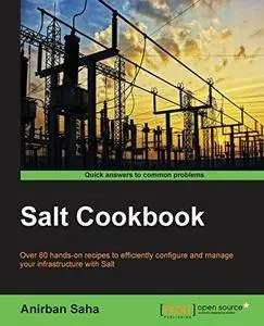 Salt Cookbook (Repost)