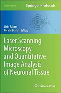 Laser Scanning Microscopy and Quantitative Image Analysis of Neuronal Tissue