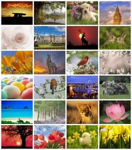 Webshots - Daily Photos (04/2011) - High Quality (1600x1200) & Wide Screen (1920x1080)