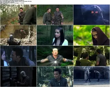 The One Warrior (2011)